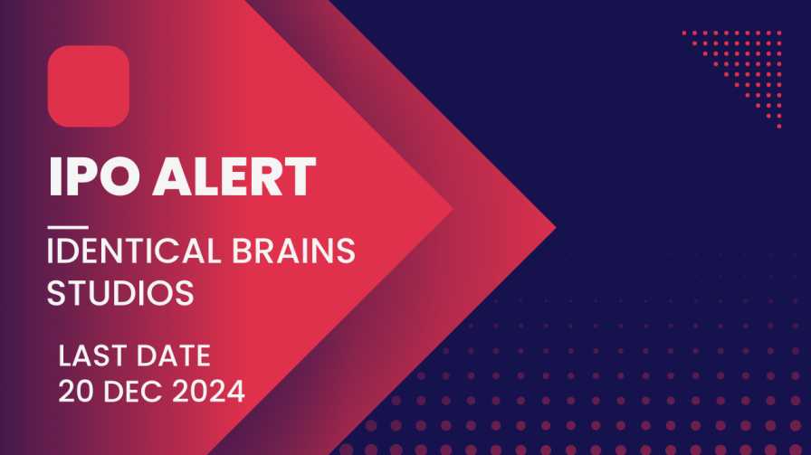 Identical Brains Studios IPO
